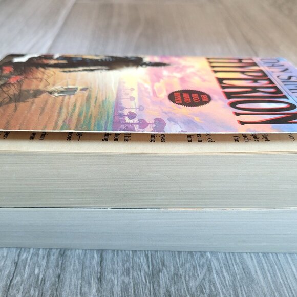 HYPERION BOOKS LOT OF 2 HYPERION AND THE FALL OF HYPERION CANTOS BY DAN SIMMONS - Picture 8 of 12